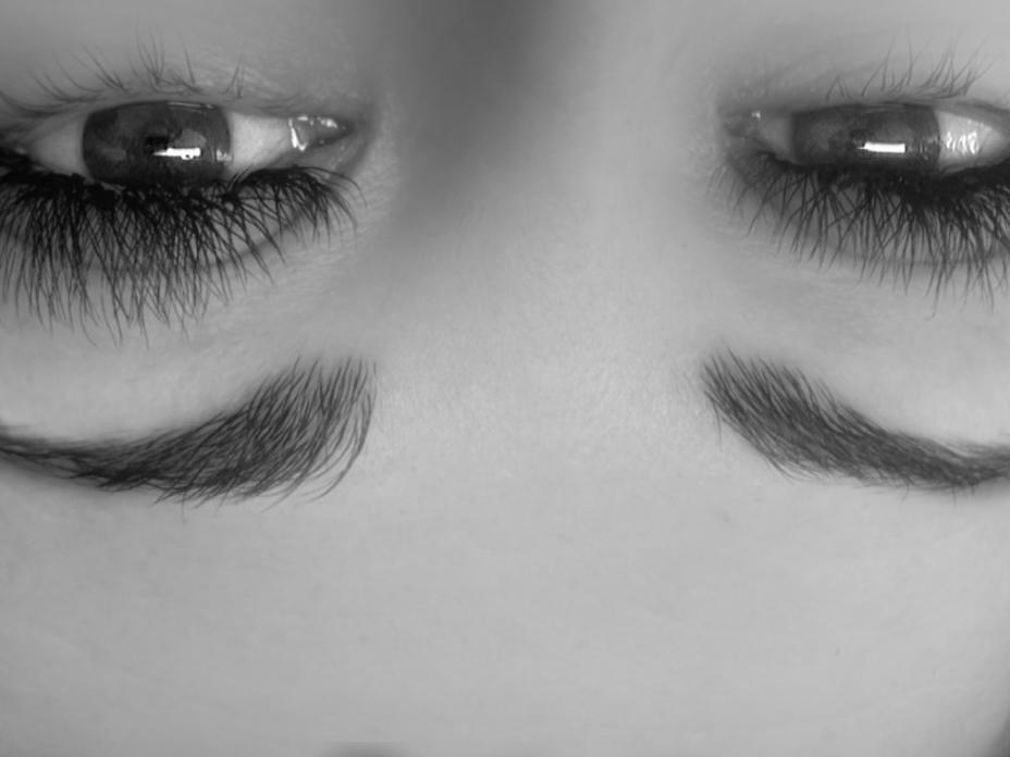 Close up of lashes and sculpted brows after treatment